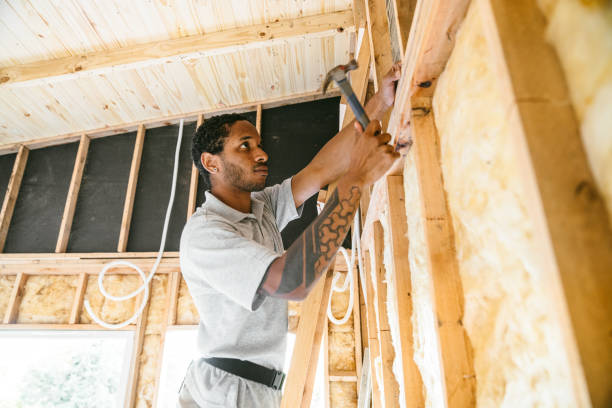 Best Insulation Inspection Services  in West Lake Hills, TX